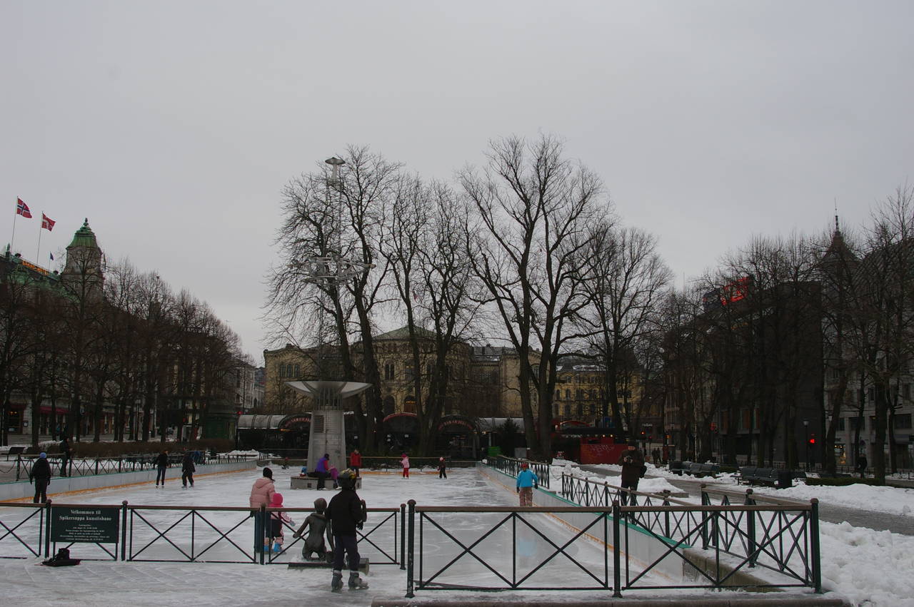 Ice-skating in front of the parliament
