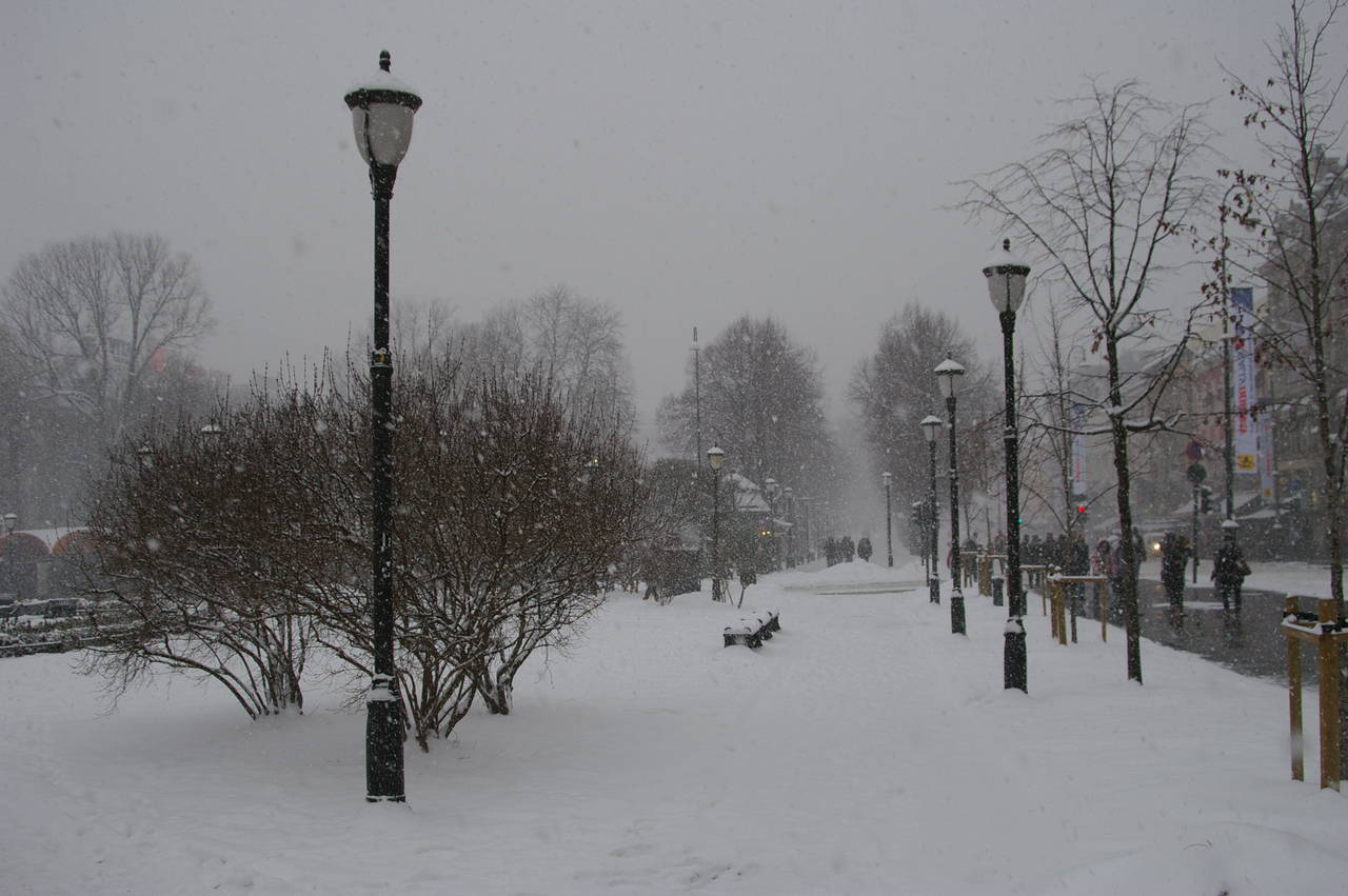 Snow storm in the city centre