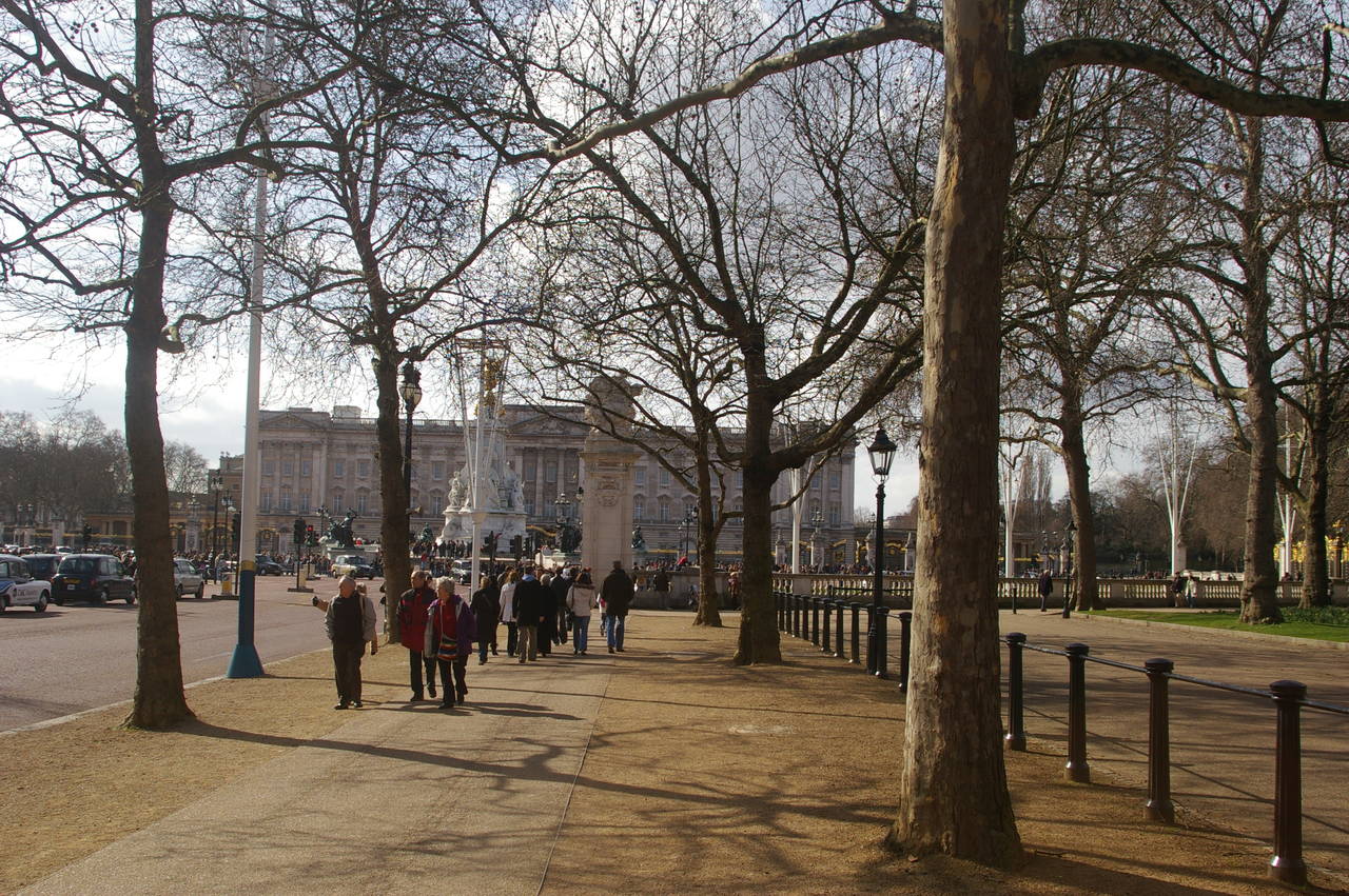 The Mall and Buckingham Palace
