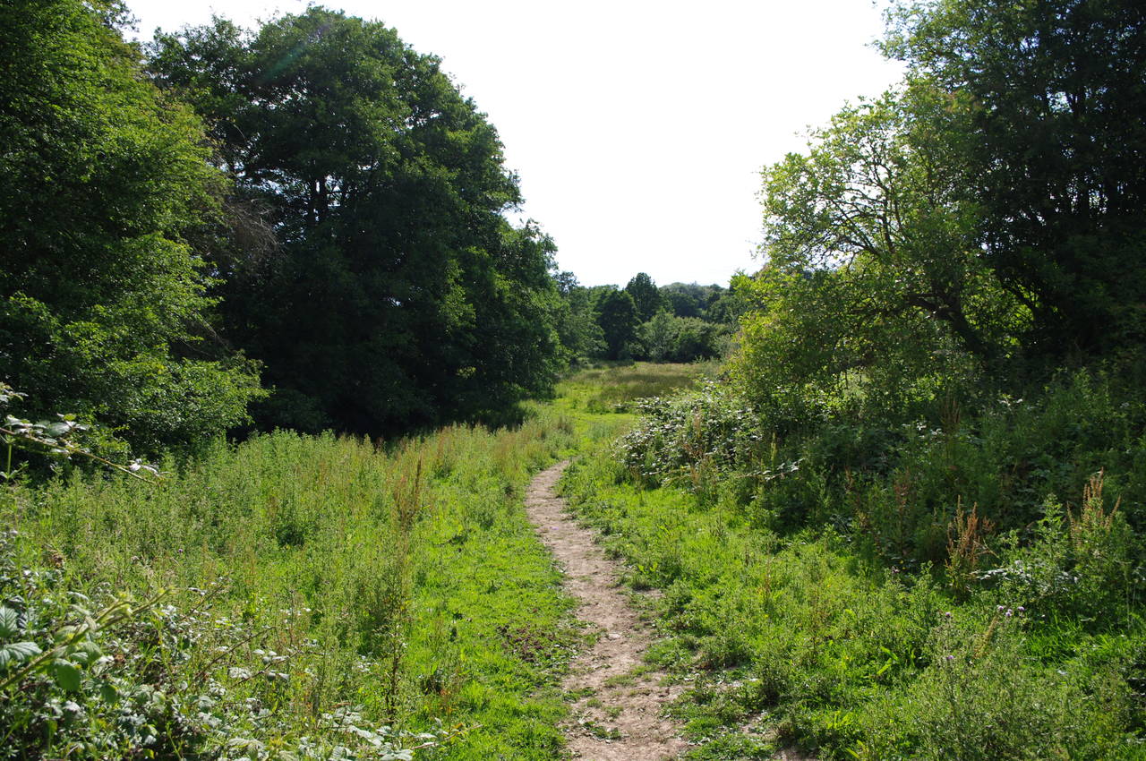 Path near Spraybridge Farm