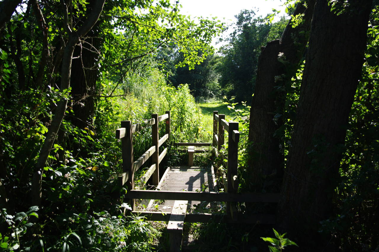 Footbridge near Great Buckhurst Farm