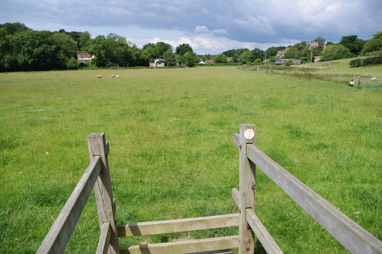 Large field at Crowhurst