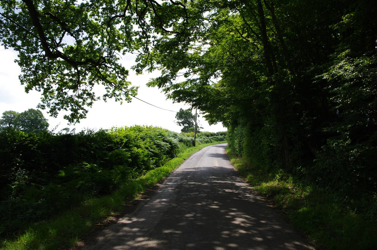 Penhurst Lane