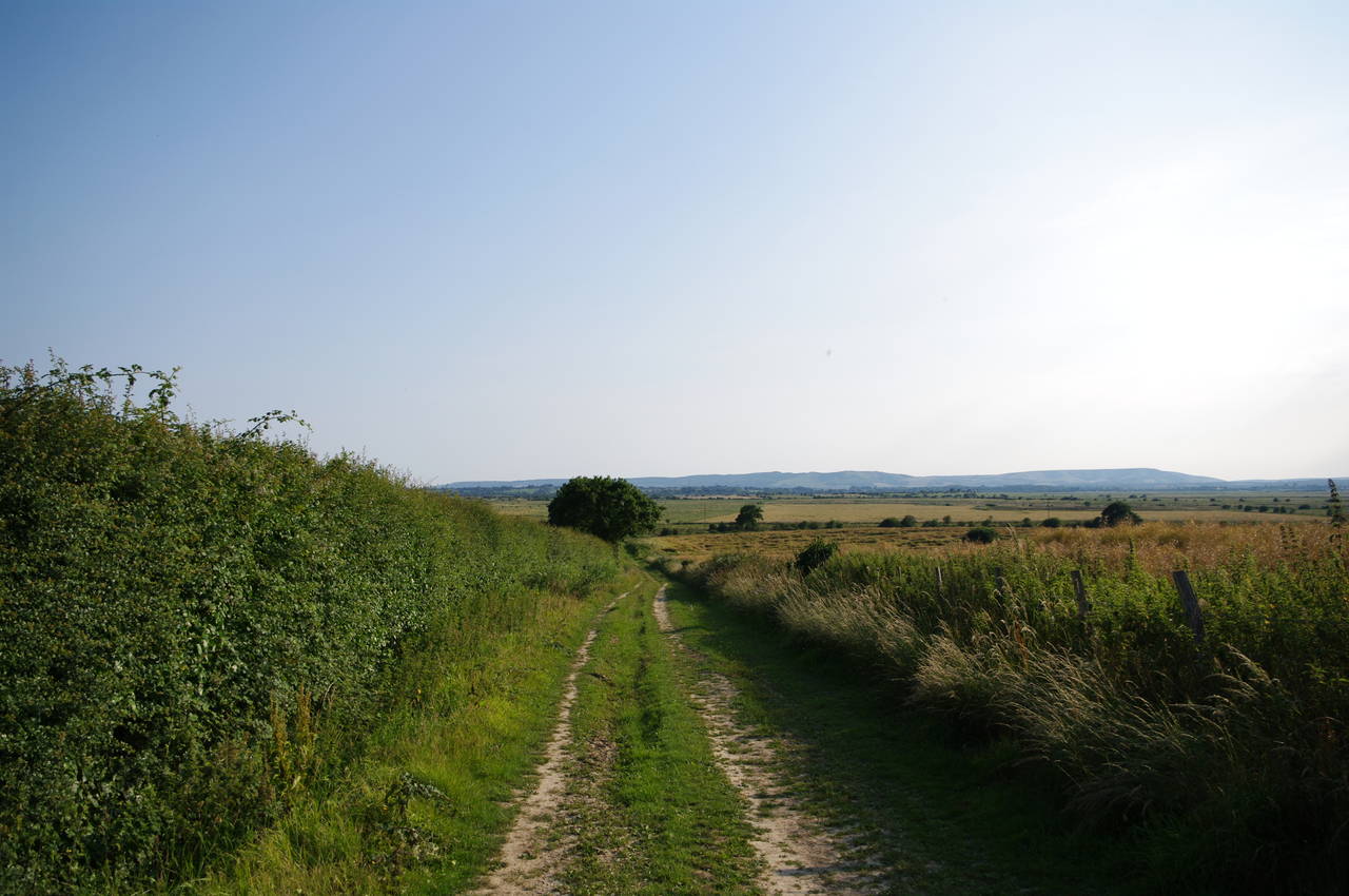 Battle to Pevensey