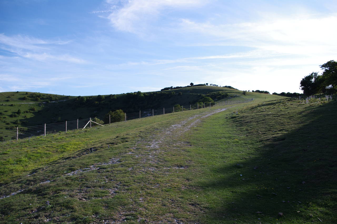 View towards the top of Combe Hill