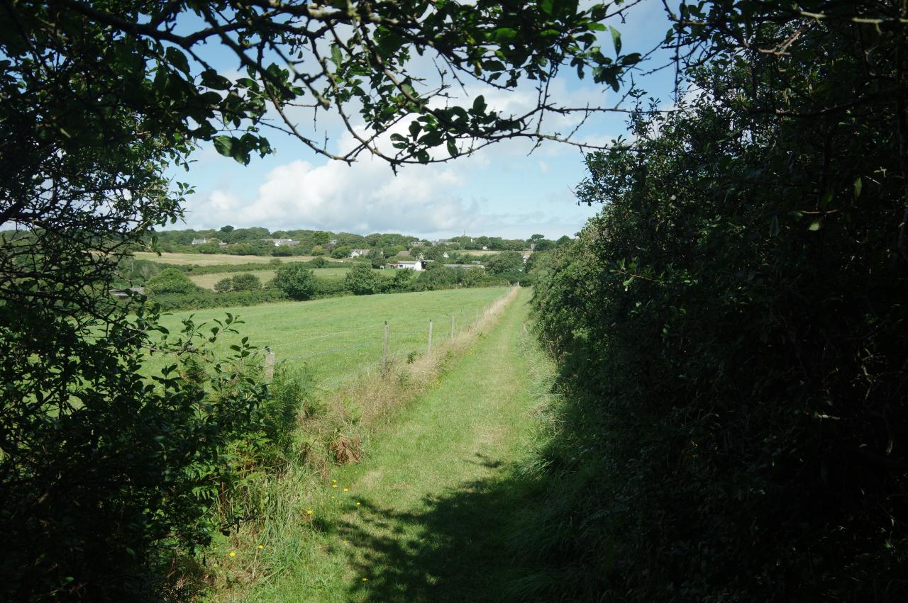 Path towards The Village