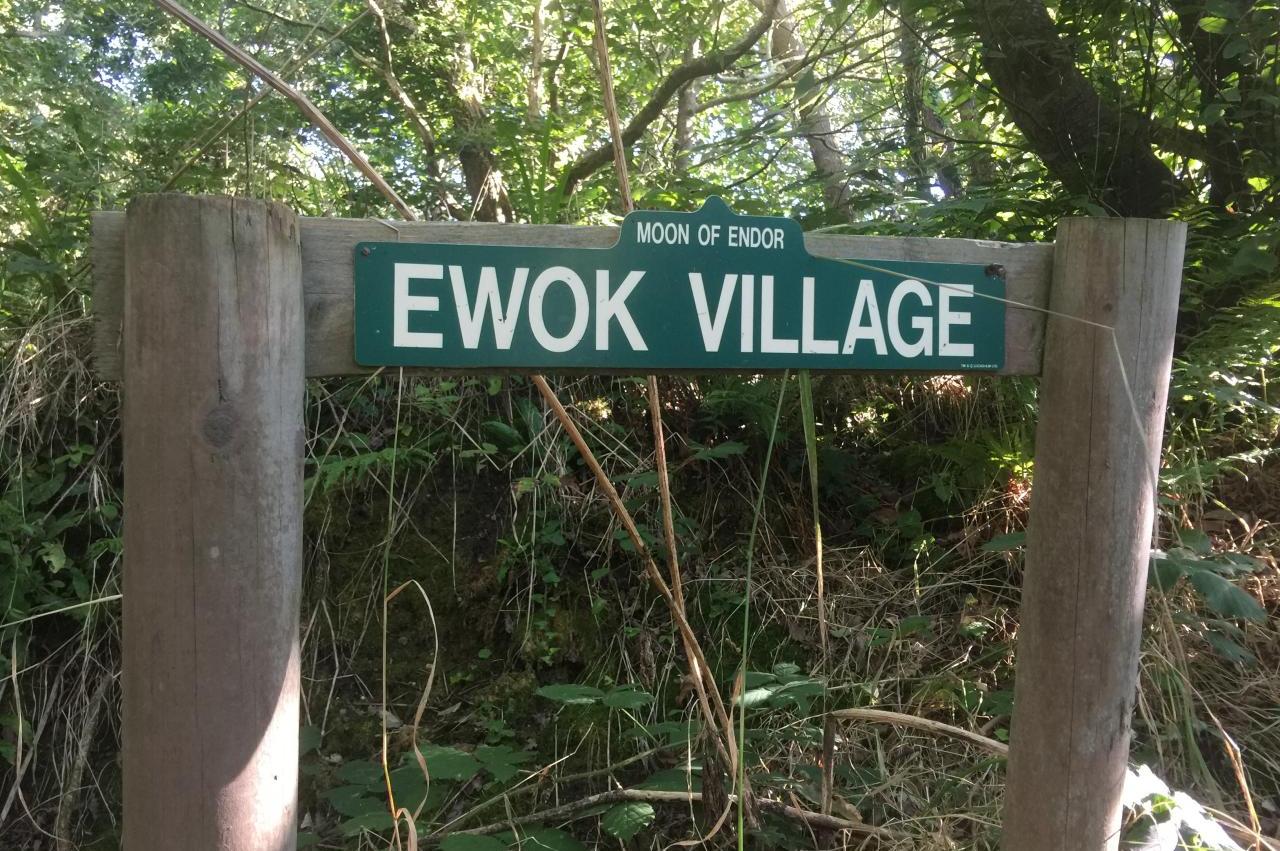 Ewok Village