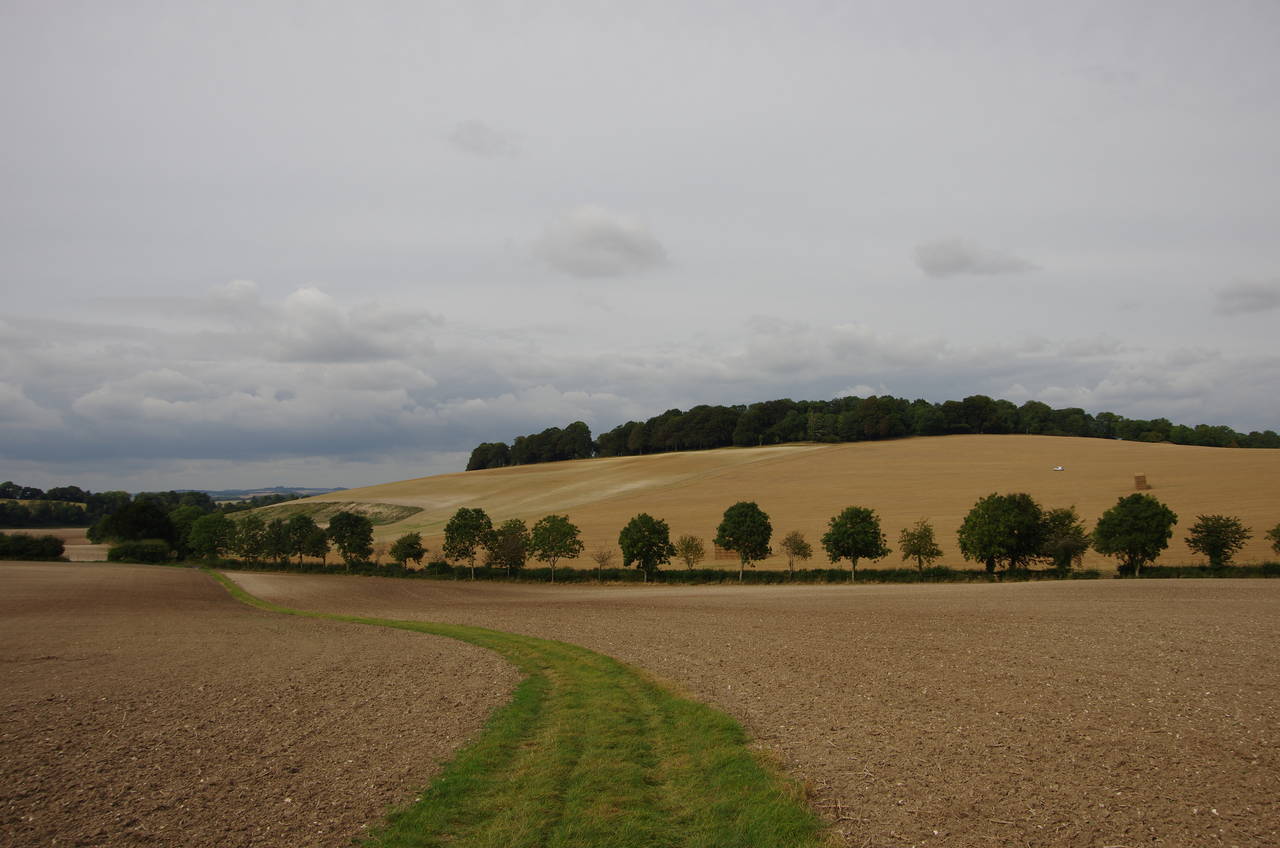 Winchester to Middle Winterslow
