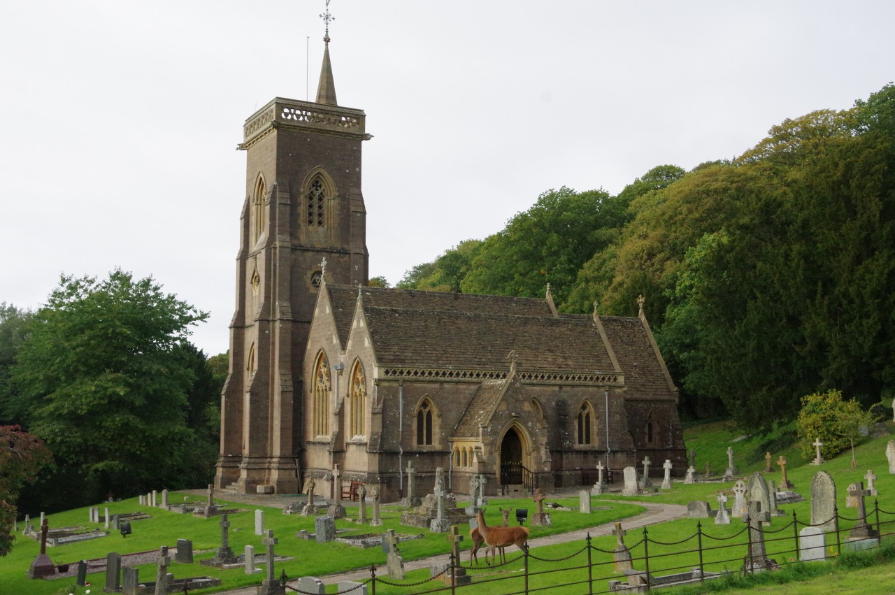 Nether Stowey to Sampford Brett