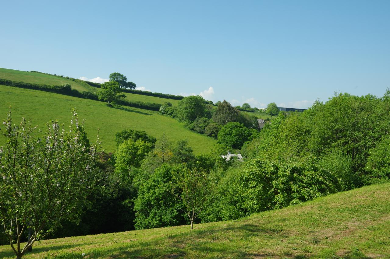 Valley behind Coombe Farm
