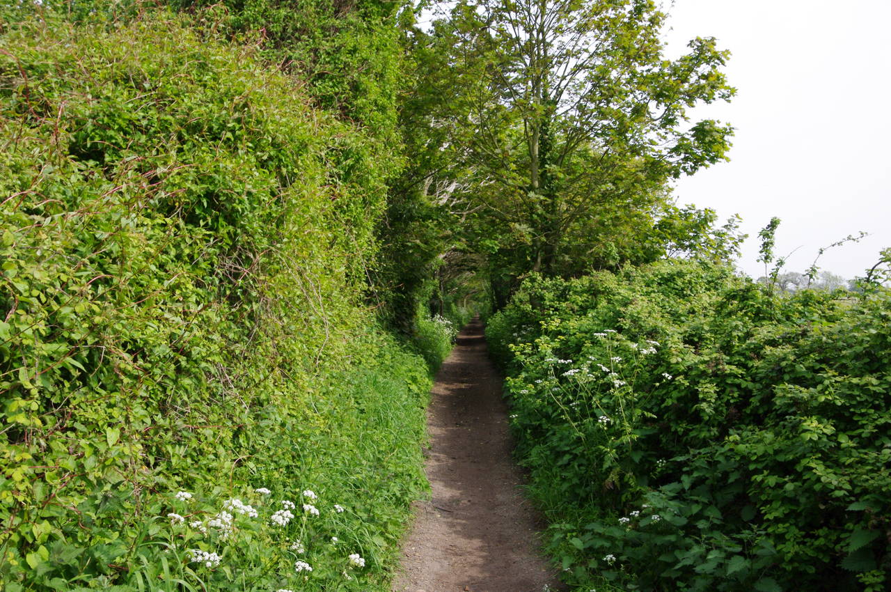 Path near Priory Hotel