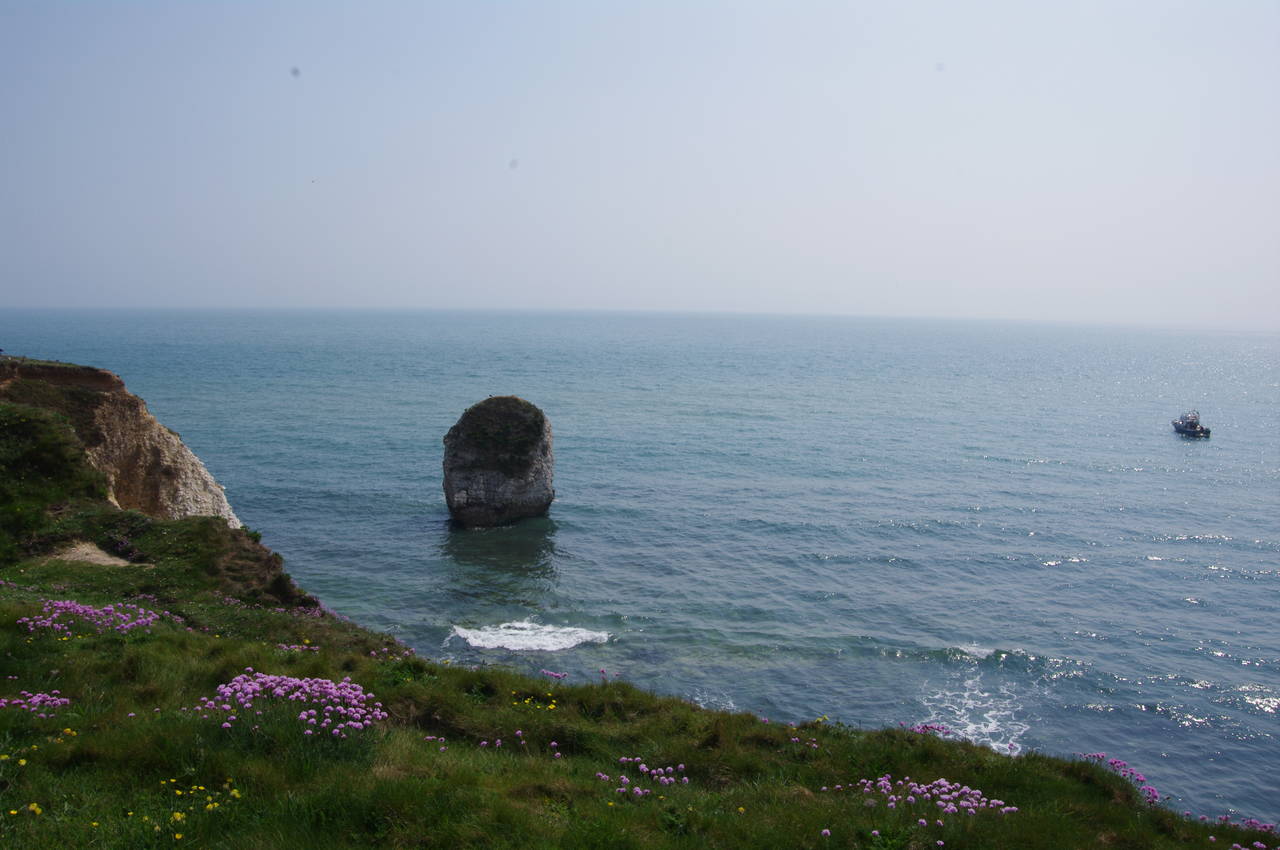Stag Rock, Freshwater Bay