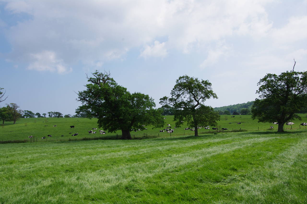Nunwell Farm