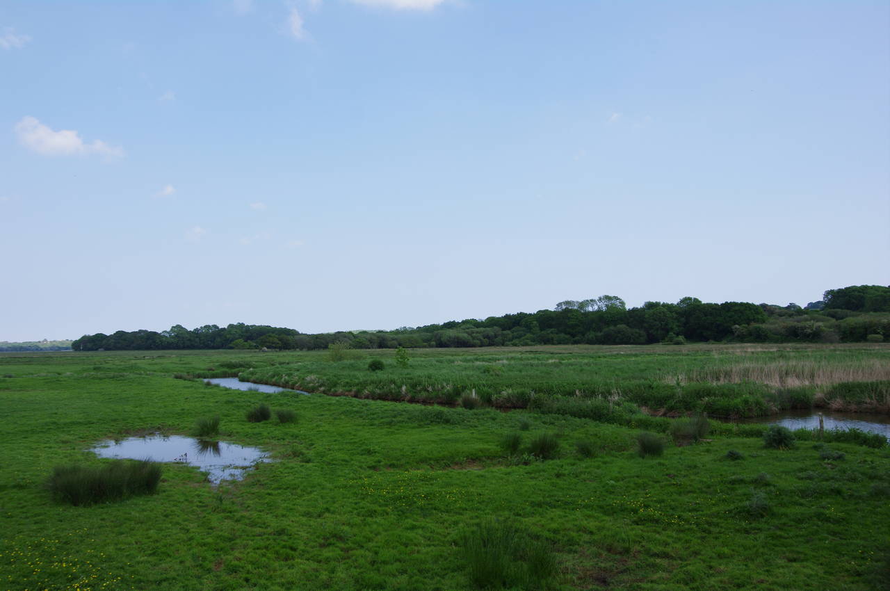 Brading Marshes Nature Reserve