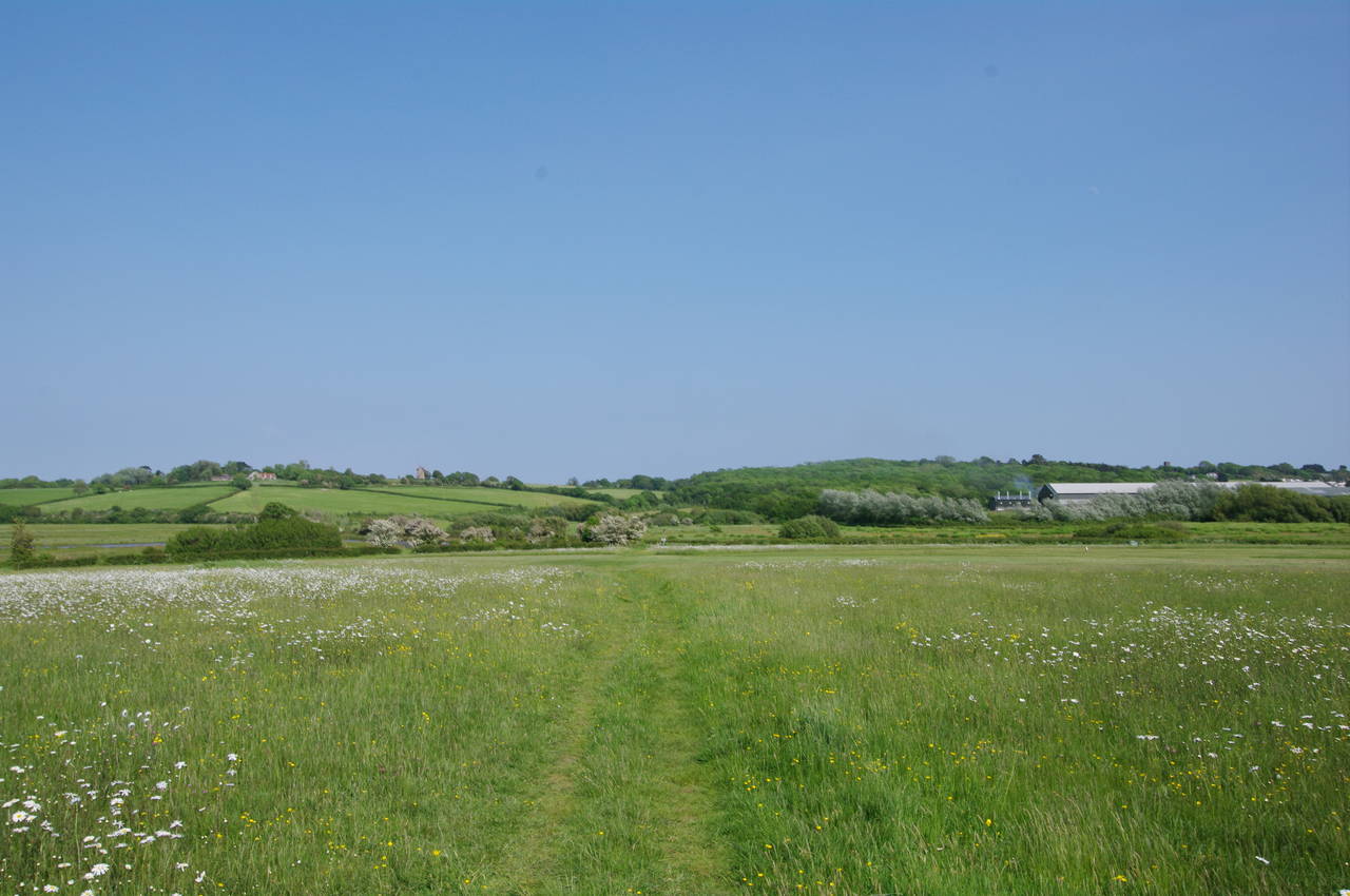Meadow near Bembridge Airport