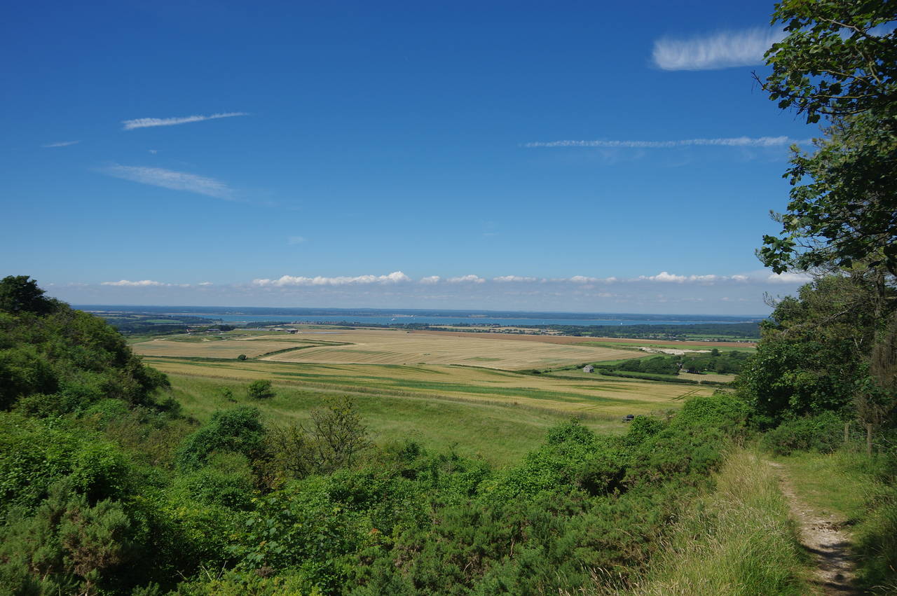 View back from Brook Down