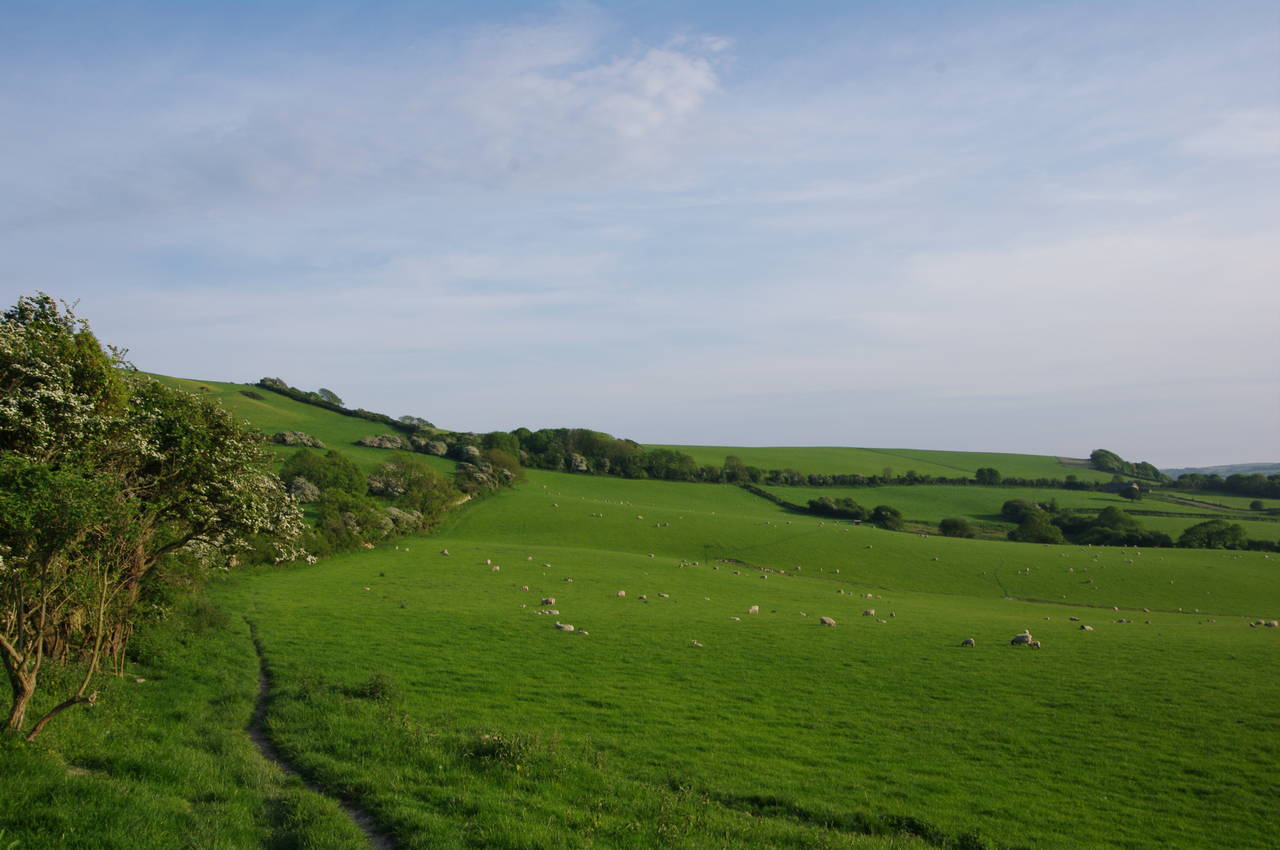 Stenbury Trail