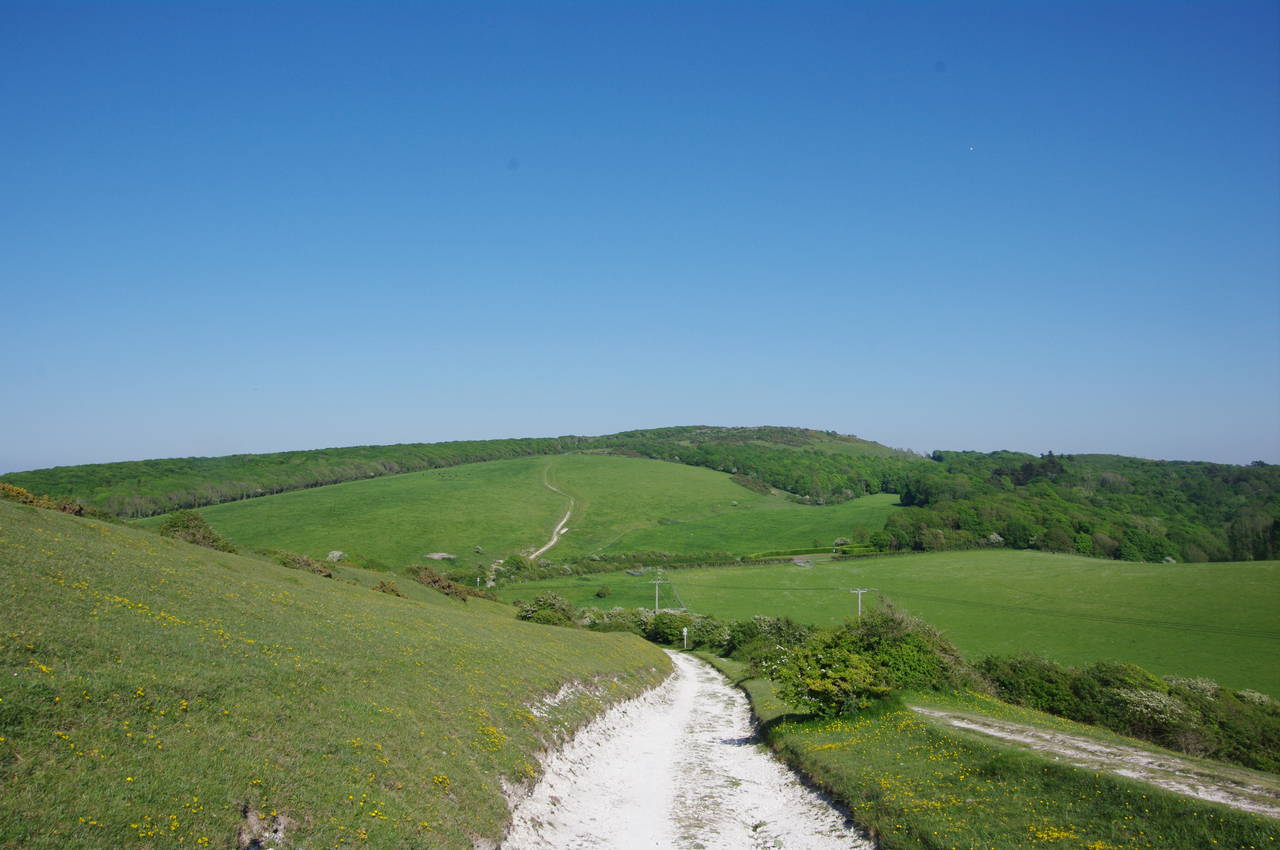 View from Brook Down to Mottistone Down