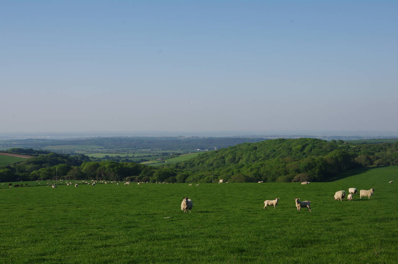 Bowcombe Valley