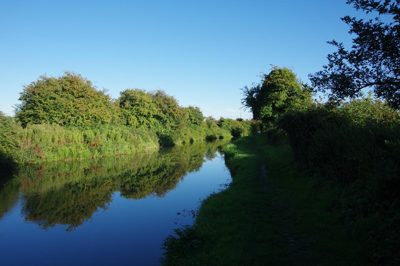 Canal near Stanton St Bernard