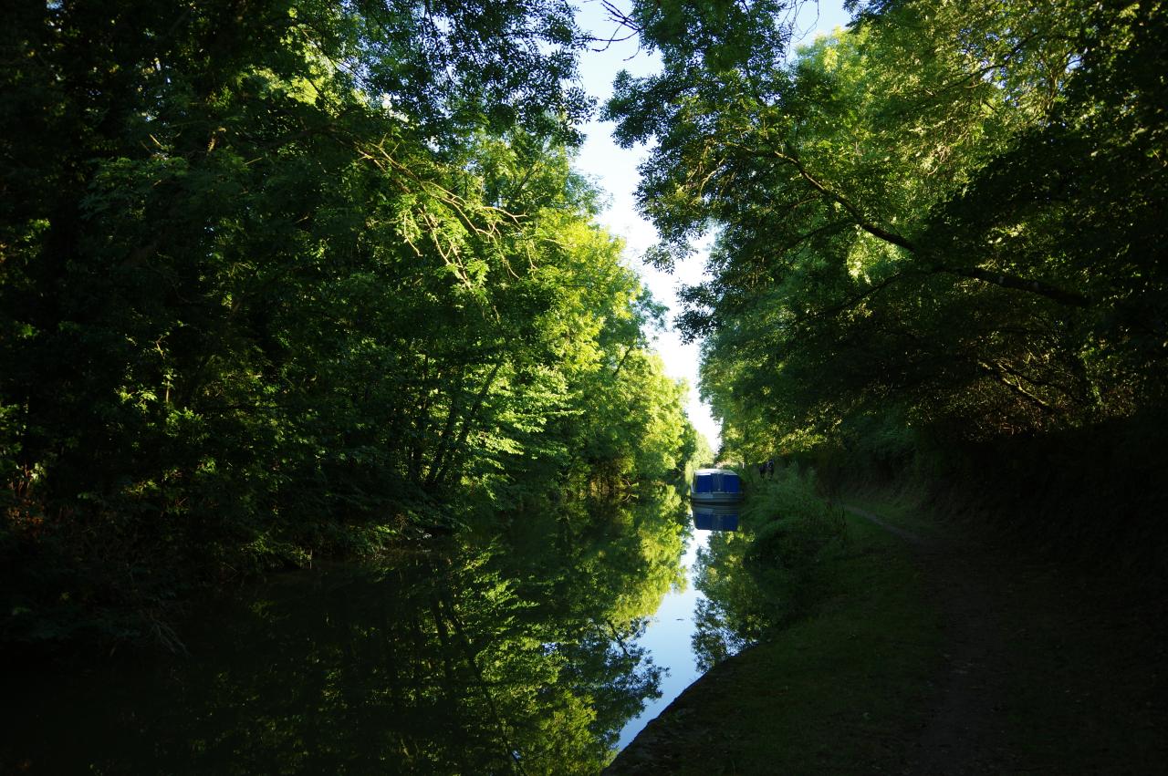 Canal beyond Honeystreet