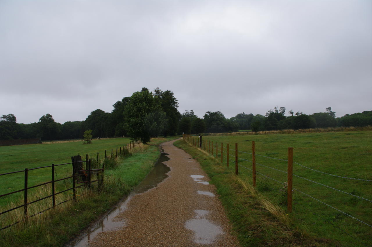 Shepherdswell to Dover