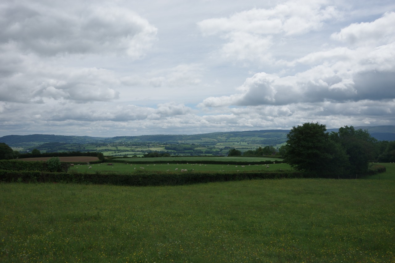View across the Wye Valley from Cae-Higgin