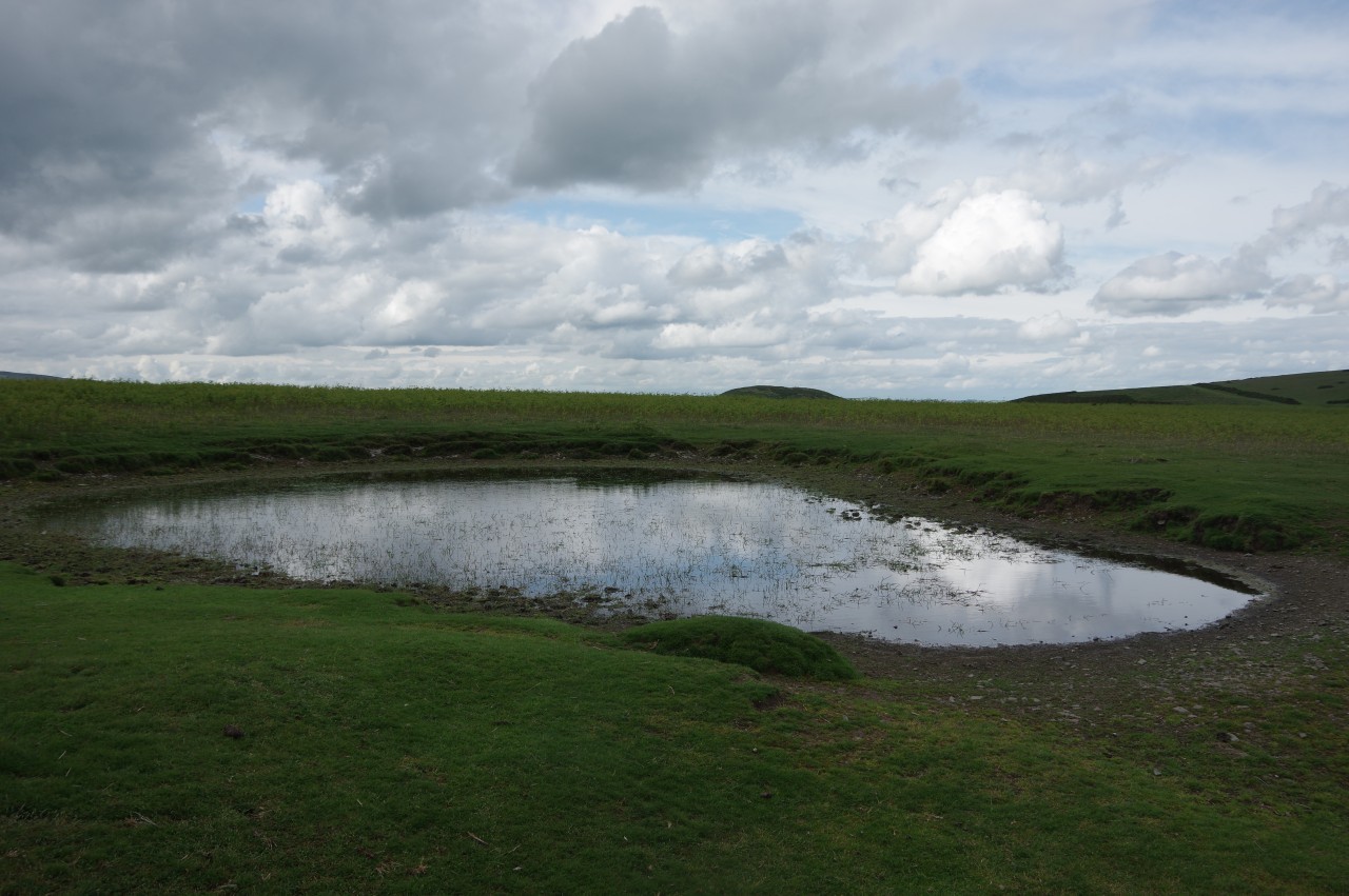 Dew pond on Hergest Ridge