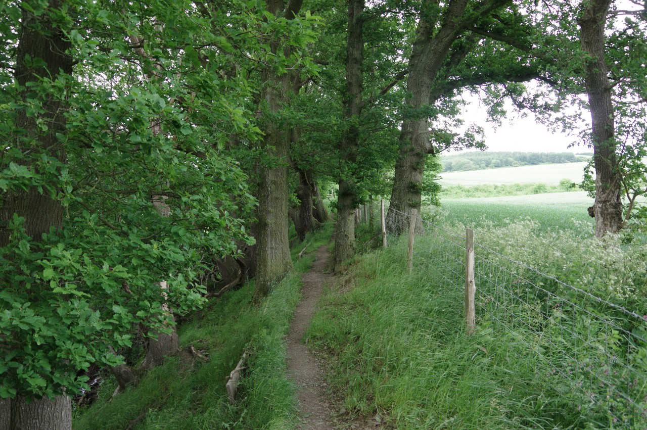 Path atop Offa's Dyke