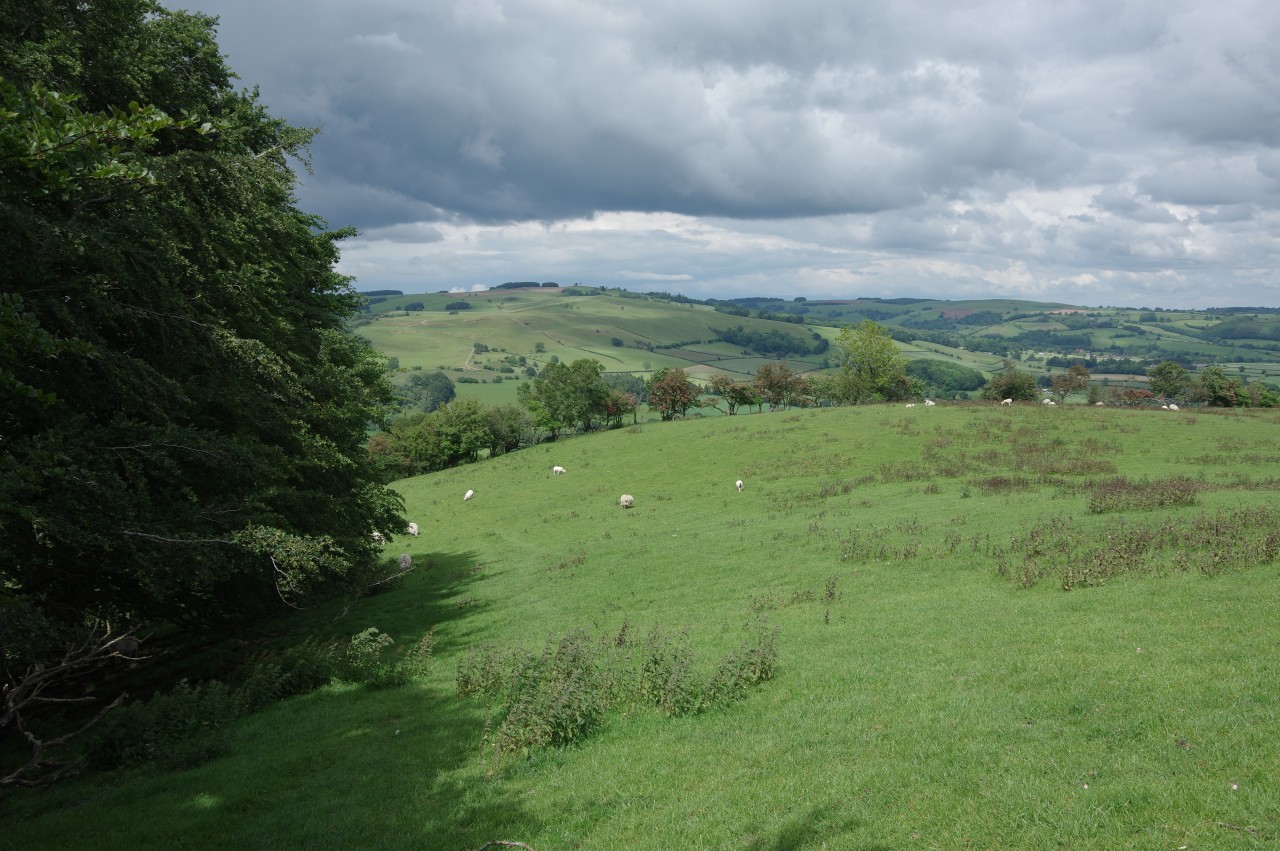 Descending into the Lugg Valley