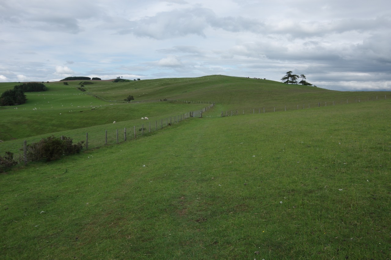 Furrow Hill