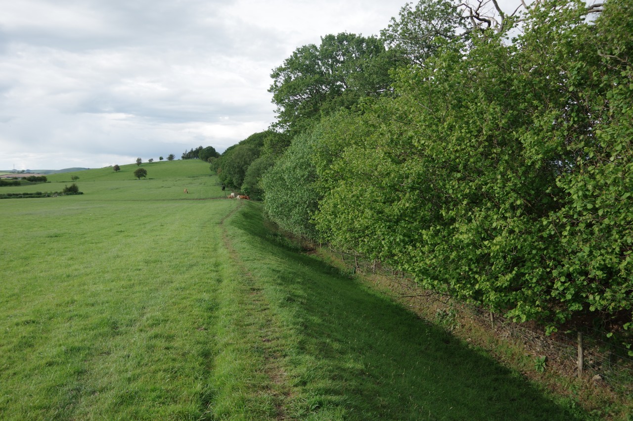 Path beside Offa's Dyke