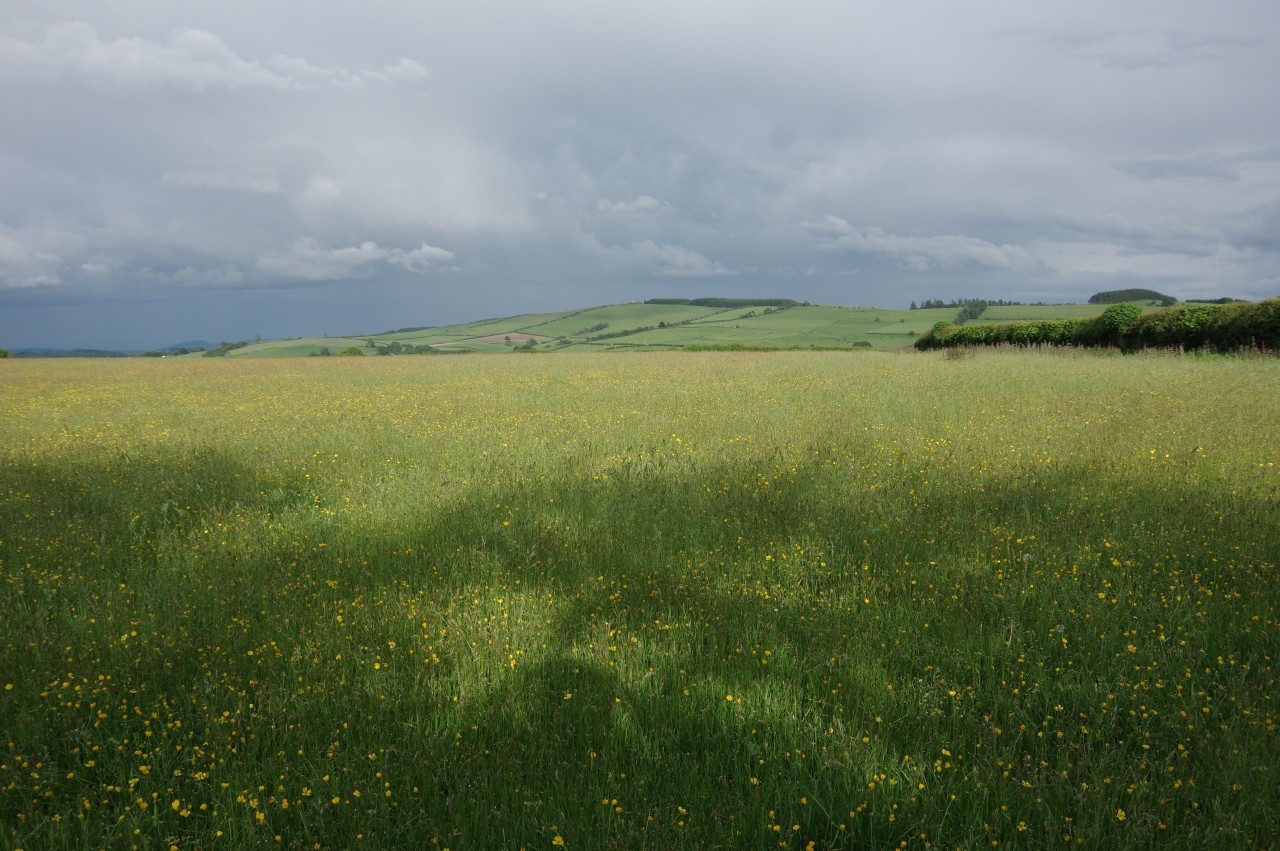 Offa's Dyke Path