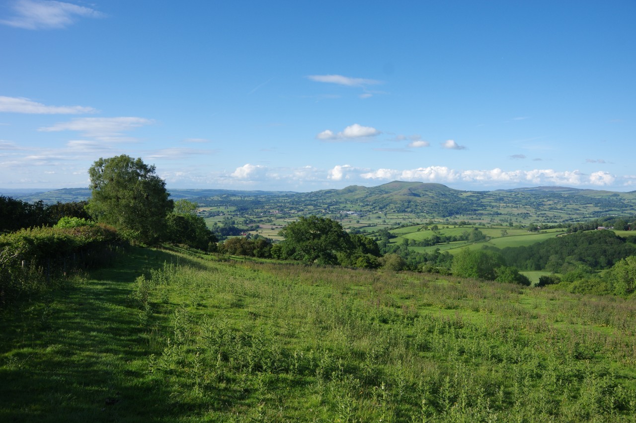 View toward Corndon Hill from Crowsnest
