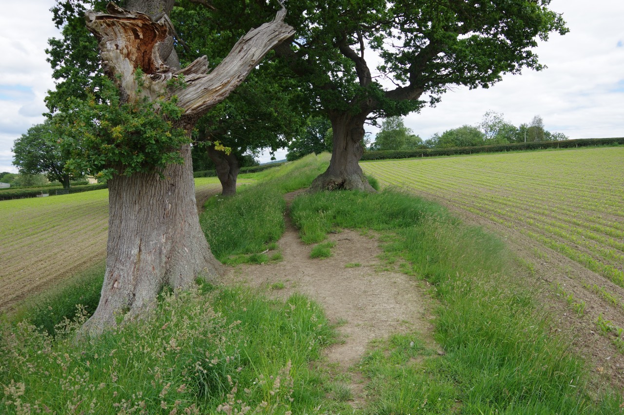 Path on Offa's Dyke
