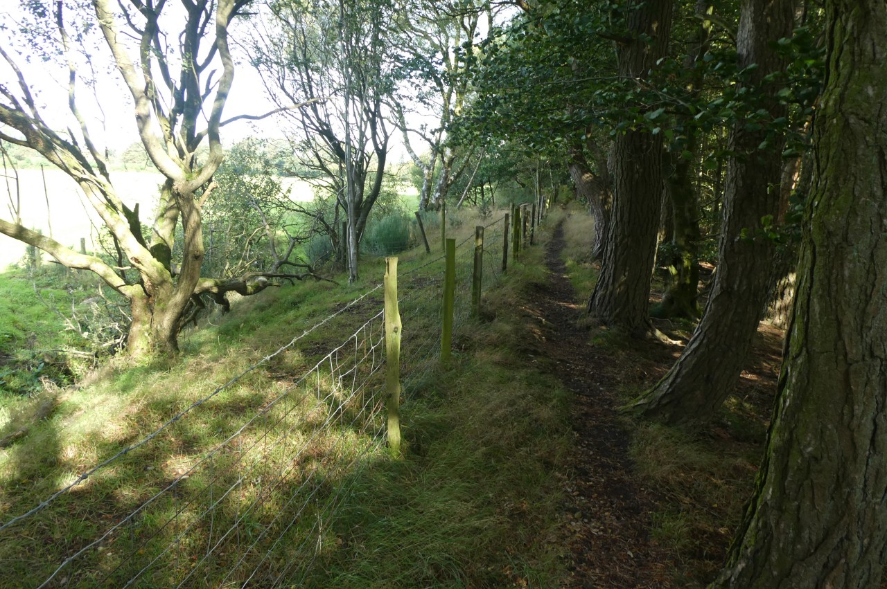 Path atop Offa's Dyke