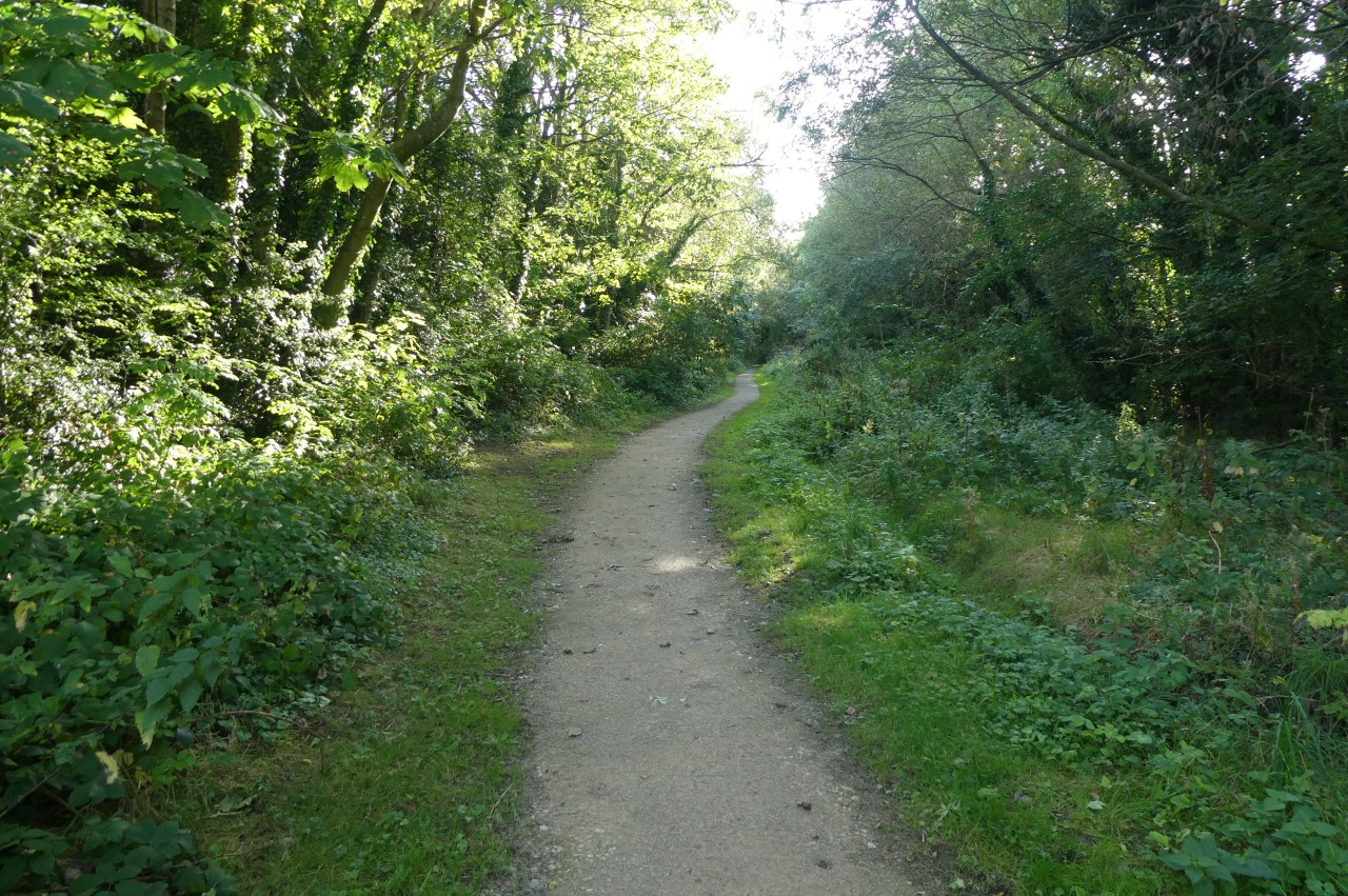 The Old Railway Path, Trevor