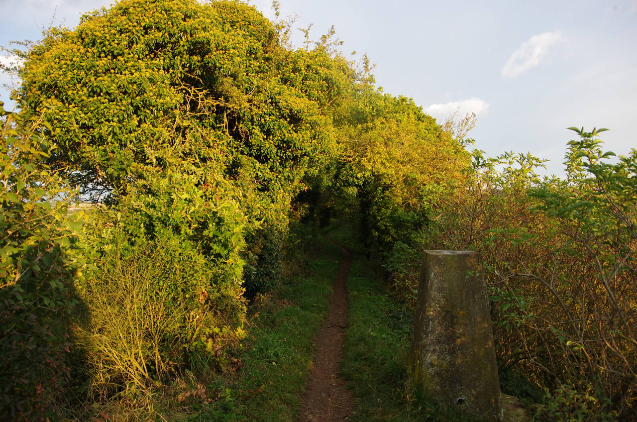 Trig point on the path