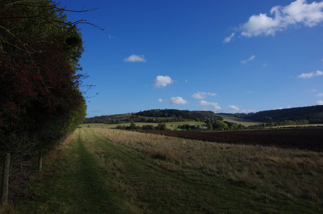 View towards Watlington Hill