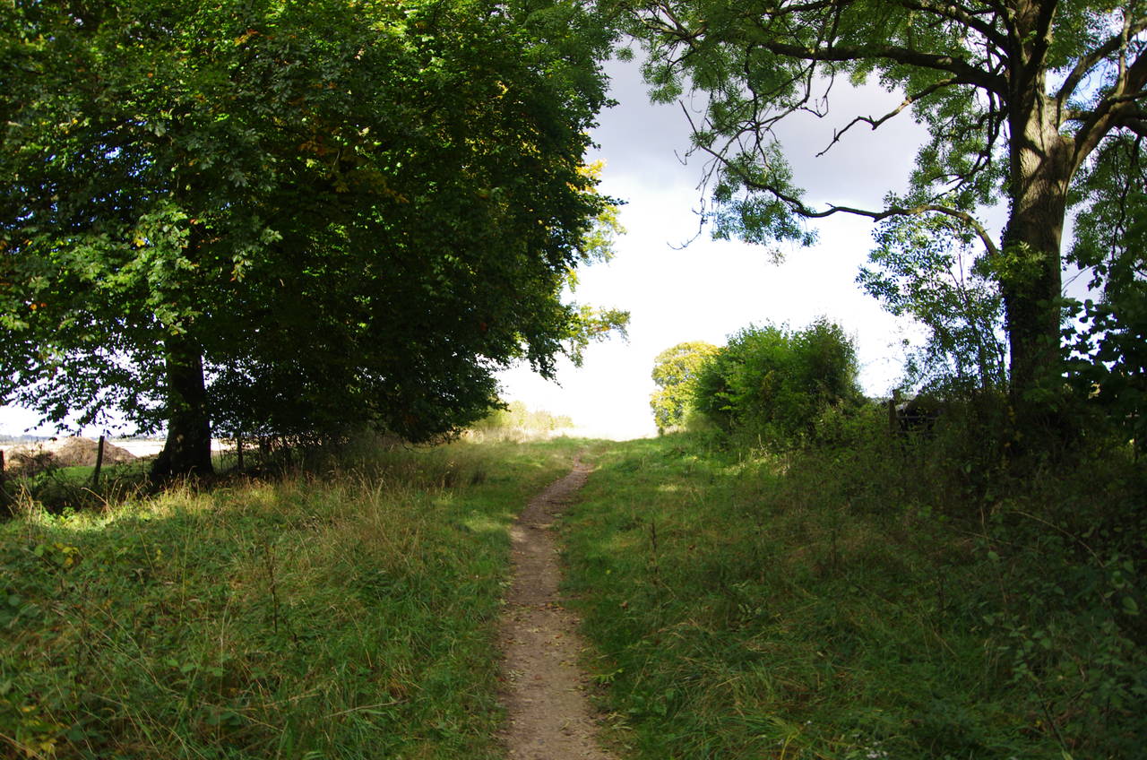 Path below Pytton Hill