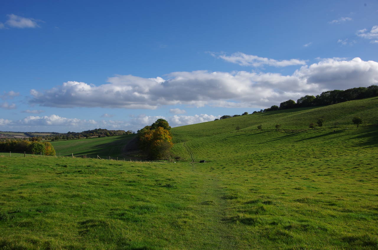 Path across fields to Wigan's Lane