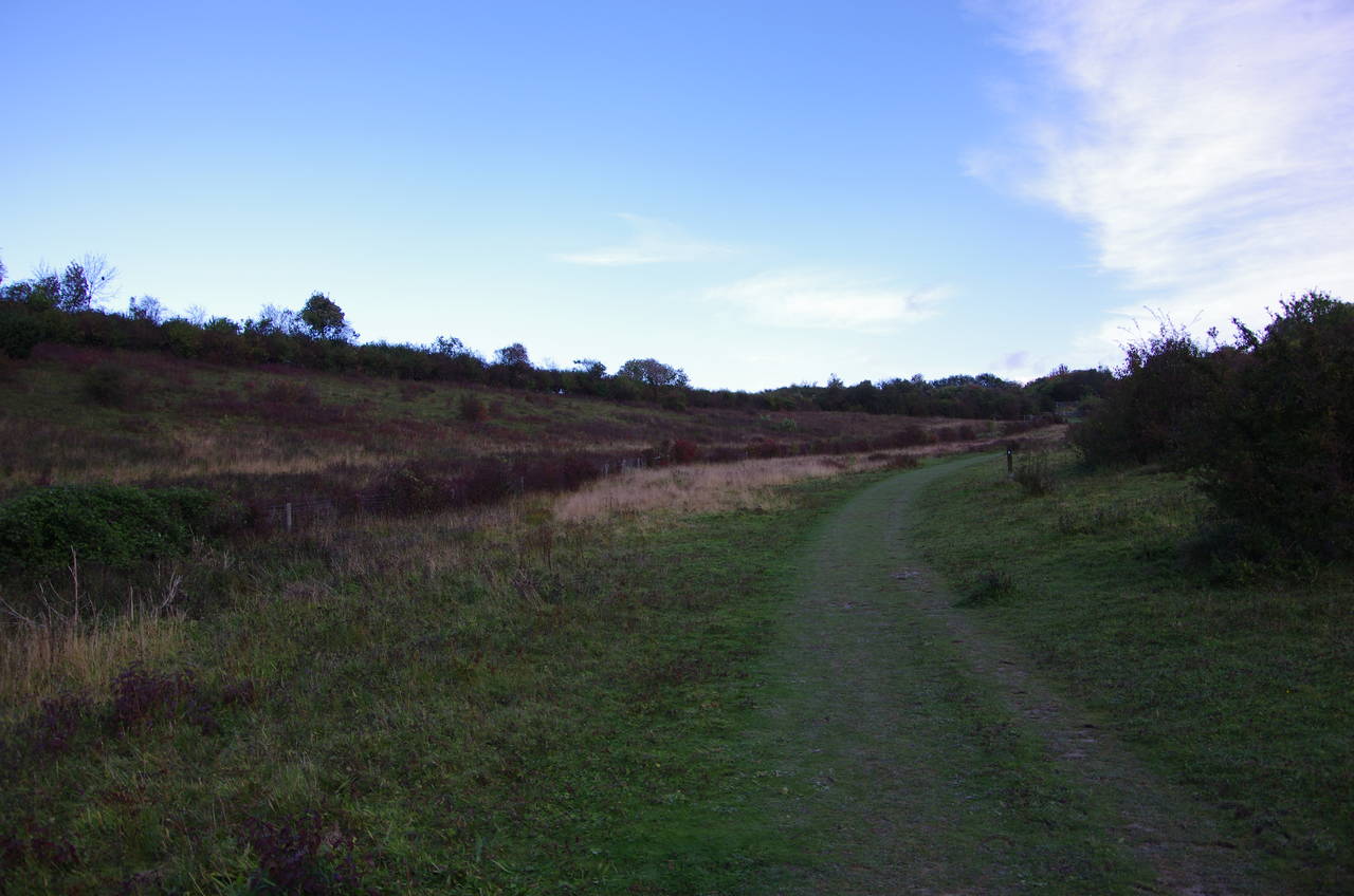 Grangelands and Pulpit Hill Nature Reserve