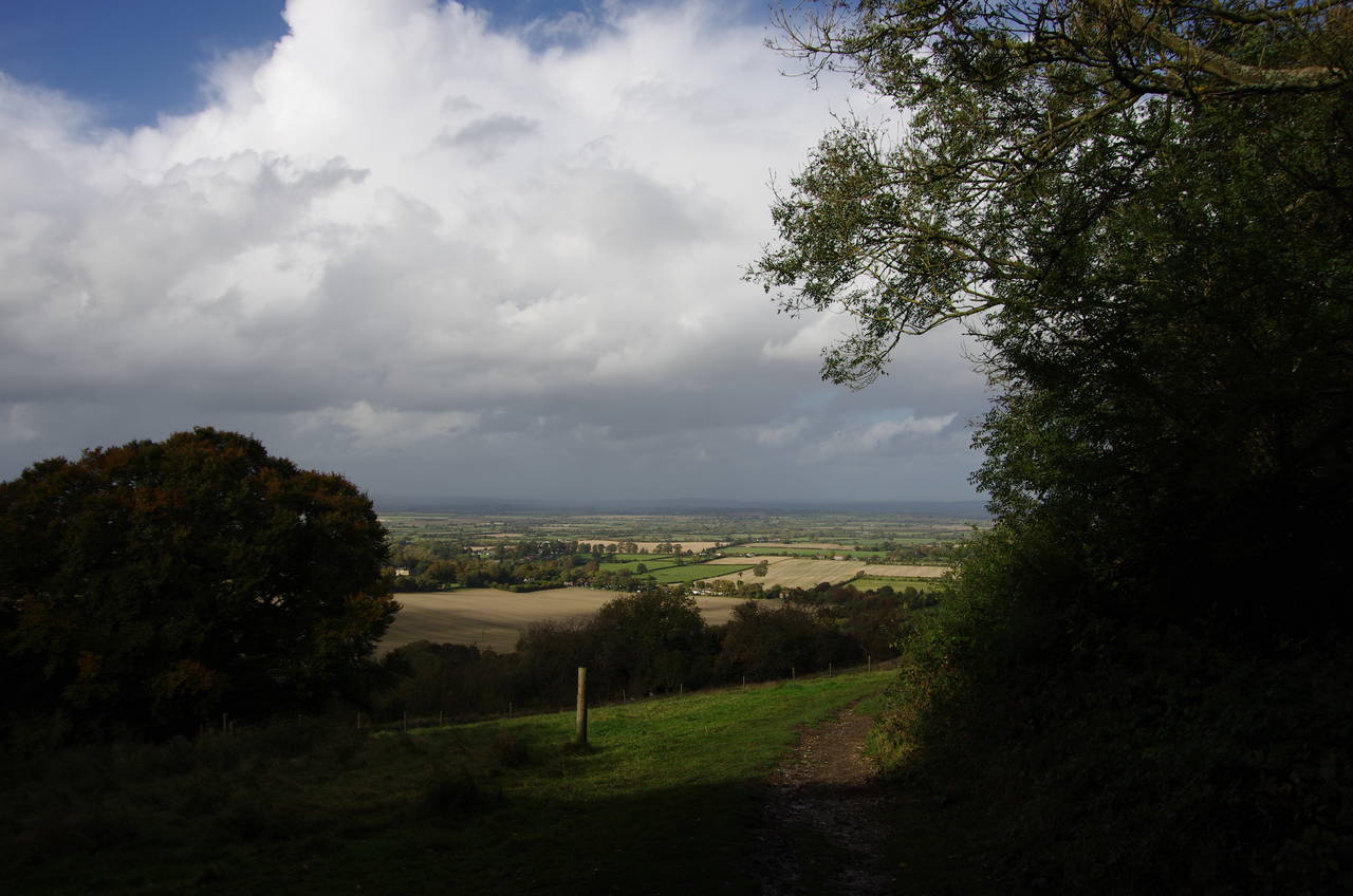 View from Coombe Hill