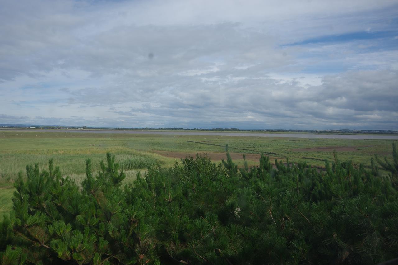 View from bird hide