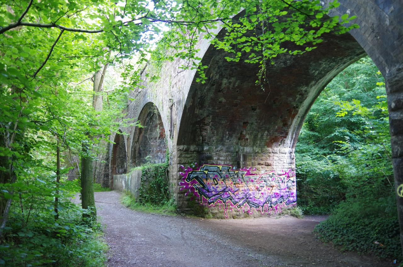 Viaduct in Leigh Woods