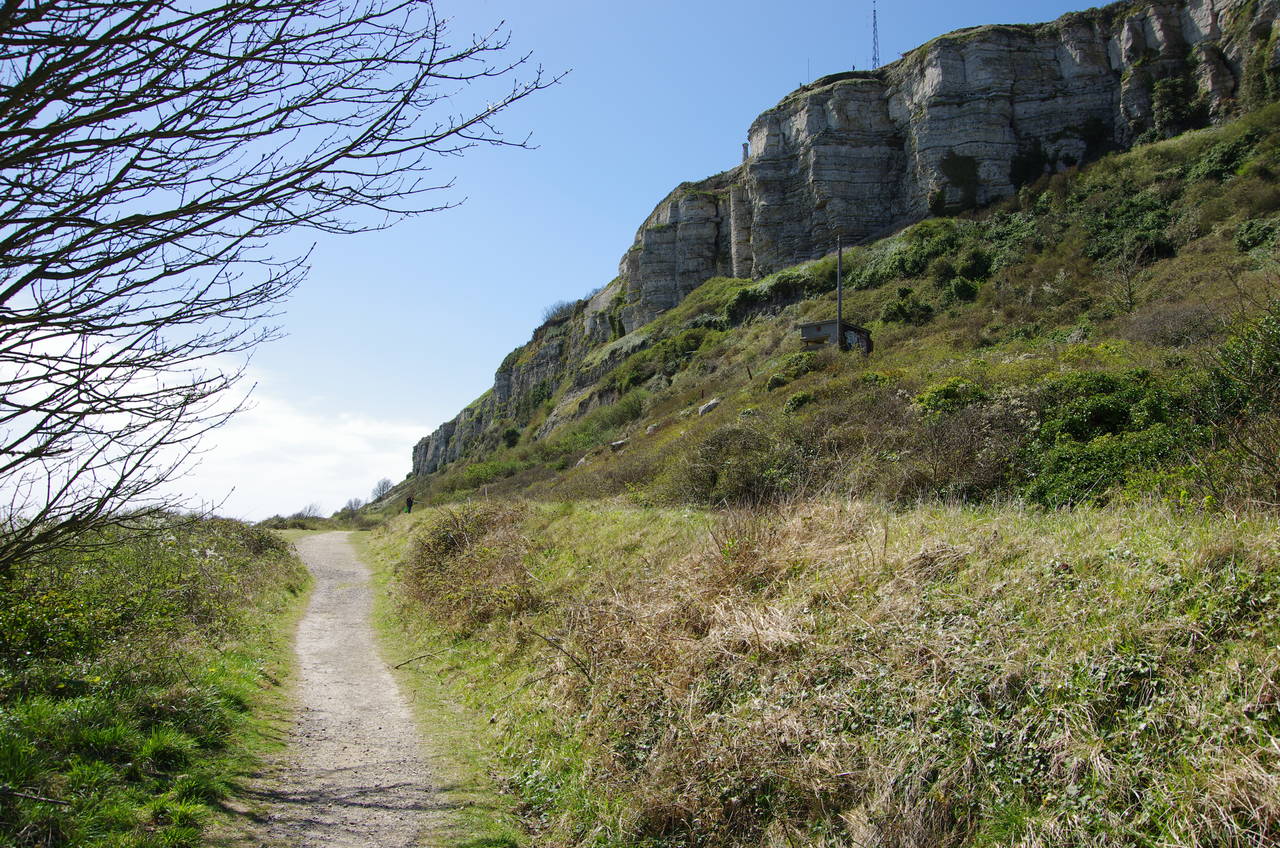 The undercliff
