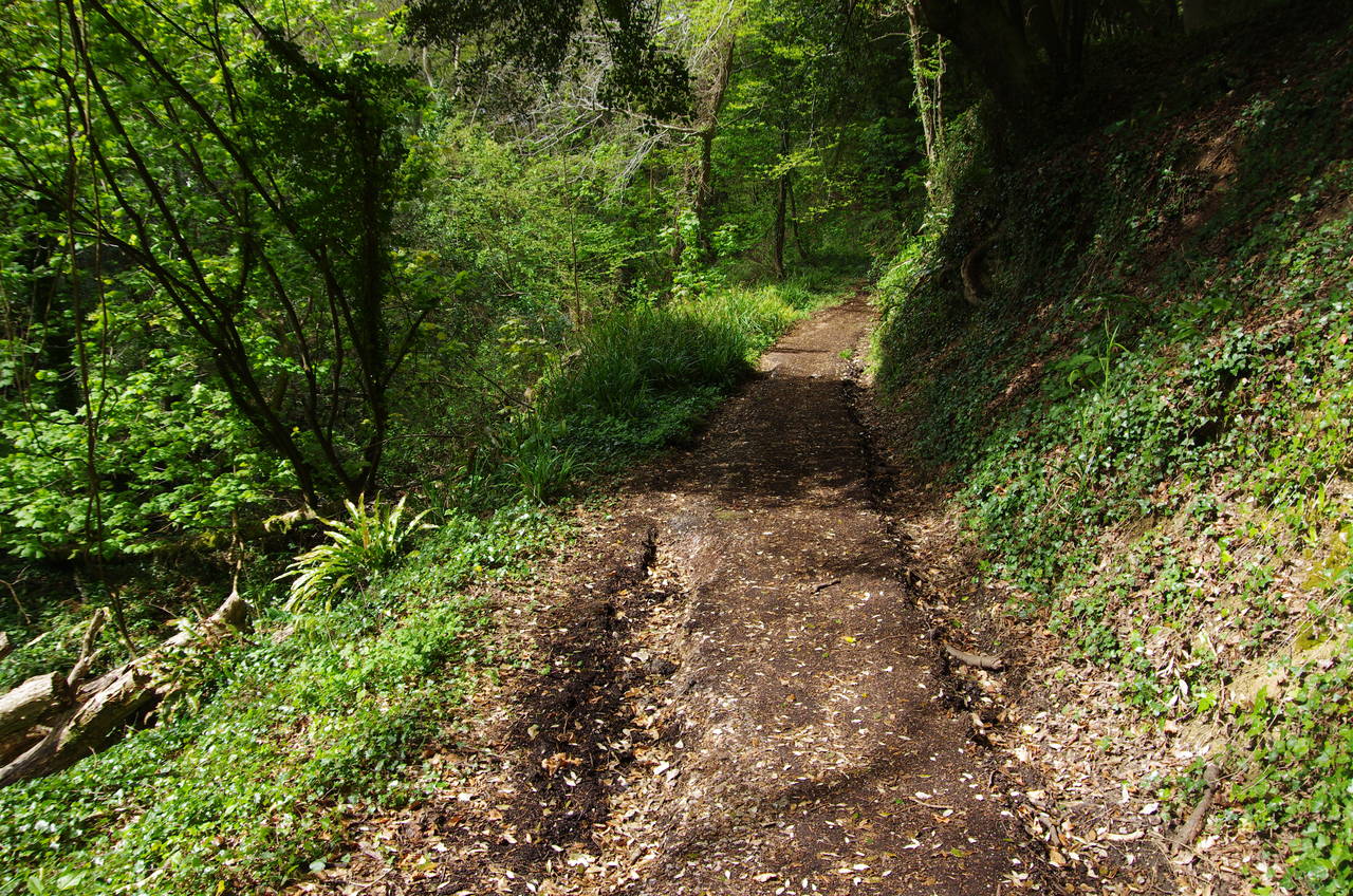 Path through active landslip