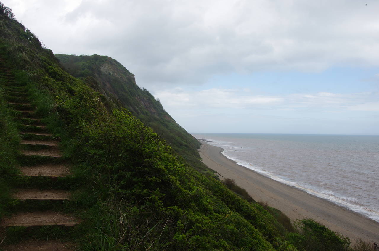 Lower Dunscombe Cliff