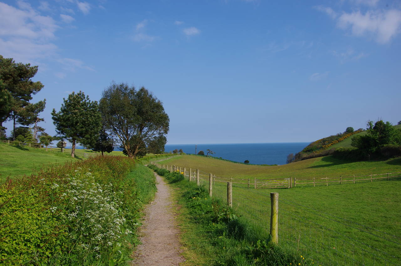 Path to Horse Cove