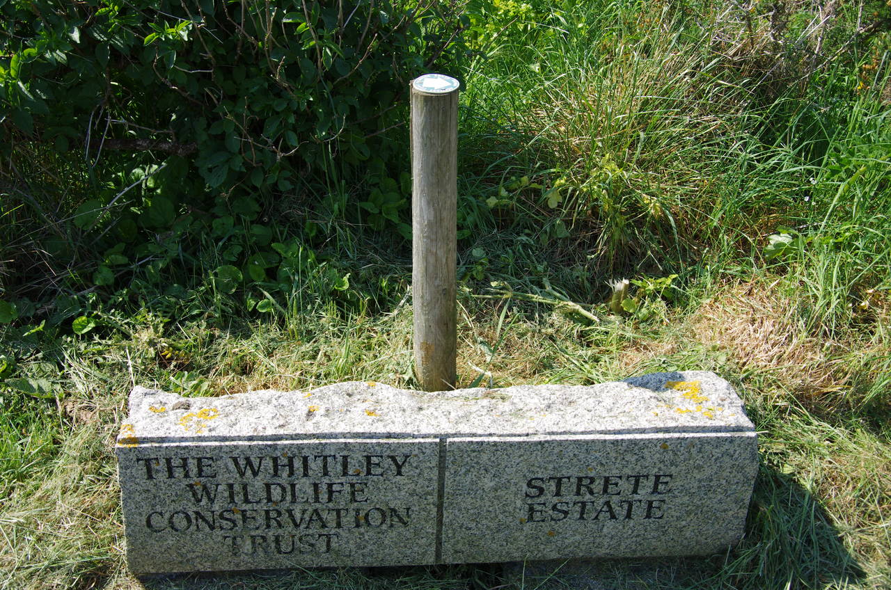 Boundary Stone near Slapton Ley